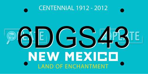 6DGS43 New Mexico License Plate