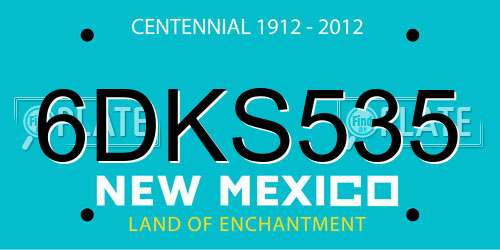 6DKS535 New Mexico License Plate