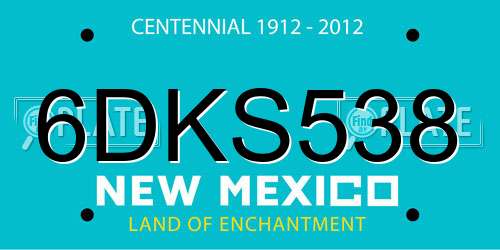 6DKS538 New Mexico License Plate