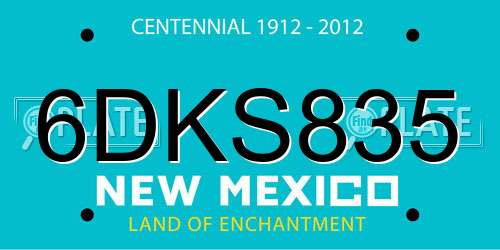 6DKS835 New Mexico License Plate