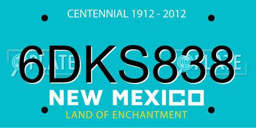 6DKS838 New Mexico License Plate