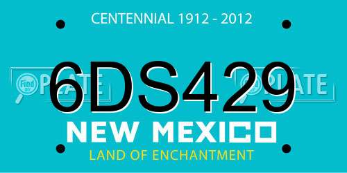 6DS429 New Mexico License Plate