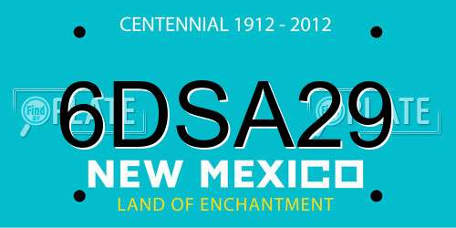 6DSA29 New Mexico License Plate