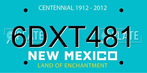 6DXT481 New Mexico License Plate