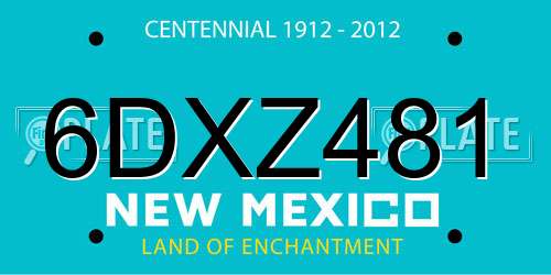 6DXZ481 New Mexico License Plate