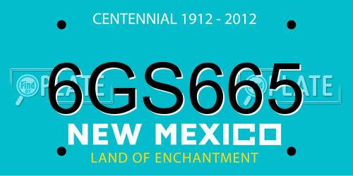 6GS665 New Mexico License Plate