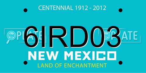 6IRD03 New Mexico License Plate