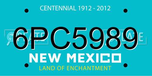 6PC5989 New Mexico License Plate