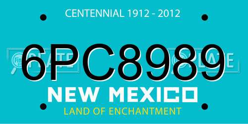 6PC8989 New Mexico License Plate