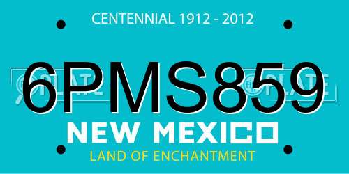 6PMS859 New Mexico License Plate