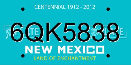 6QK5838 New Mexico License Plate
