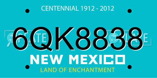 6QK8838 New Mexico License Plate