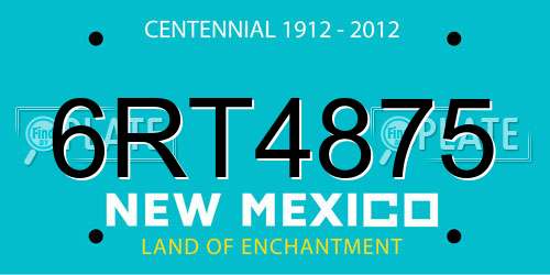 6RT4875 New Mexico License Plate