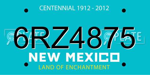 6RZ4875 New Mexico License Plate