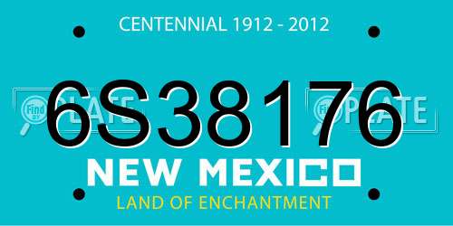 6S38176 New Mexico License Plate