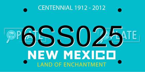 6SS025 New Mexico License Plate