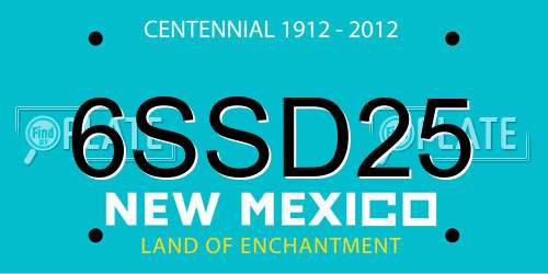 6SSD25 New Mexico License Plate