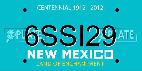 6SSI29 New Mexico License Plate