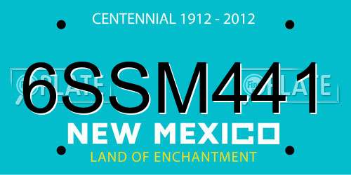 6SSM441 New Mexico License Plate