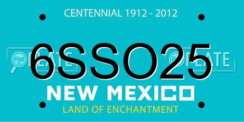 6SSO25 New Mexico License Plate