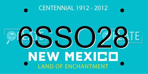 6SSO28 New Mexico License Plate