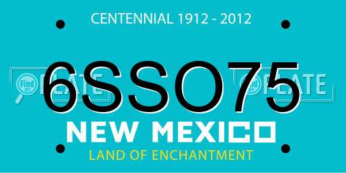 6SSO75 New Mexico License Plate