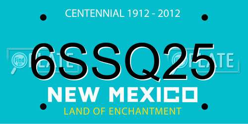 6SSQ25 New Mexico License Plate
