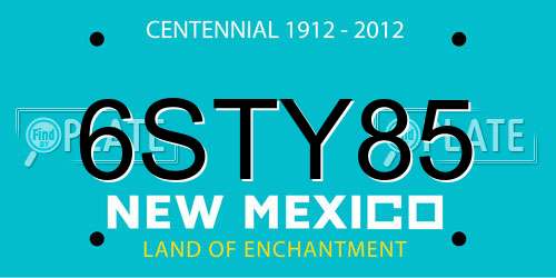 6STY85 New Mexico License Plate