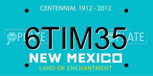 6TIM35 New Mexico License Plate