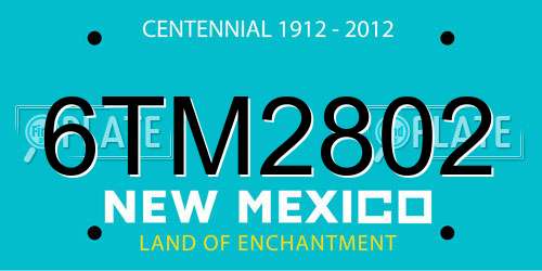 6TM2802 New Mexico License Plate