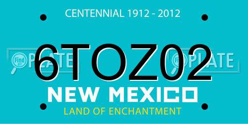 6TOZ02 New Mexico License Plate