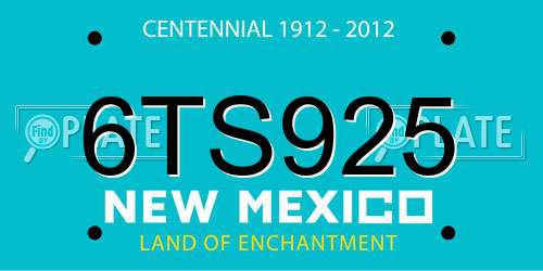 6TS925 New Mexico License Plate