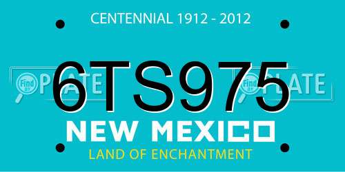 6TS975 New Mexico License Plate