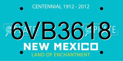 6VB3618 New Mexico License Plate