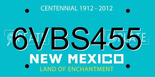 6VBS455 New Mexico License Plate