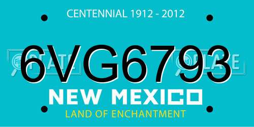 6VG6793 New Mexico License Plate