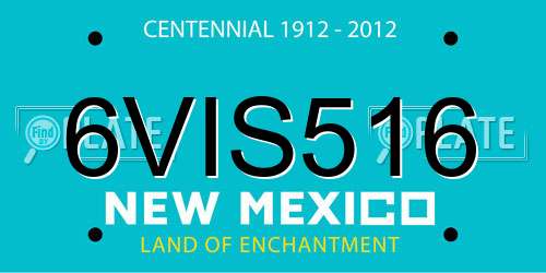 6VIS516 New Mexico License Plate