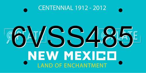6VSS485 New Mexico License Plate