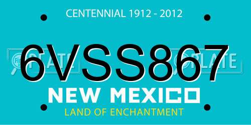 6VSS867 New Mexico License Plate