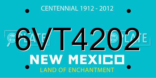 6VT4202 New Mexico License Plate