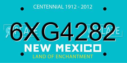 6XG4282 New Mexico License Plate