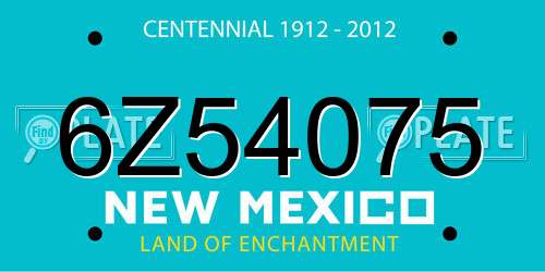6Z54075 New Mexico License Plate