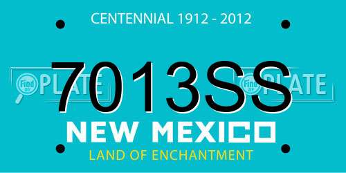 7013SS New Mexico License Plate