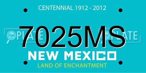 7025MS New Mexico License Plate