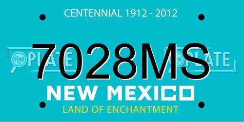 7028MS New Mexico License Plate