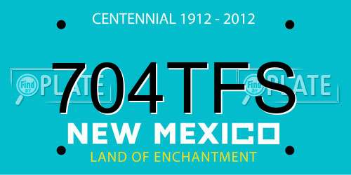 704TFS New Mexico License Plate