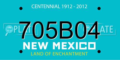 705B04 New Mexico License Plate