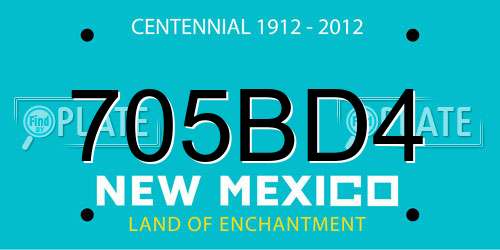 705BD4 New Mexico License Plate