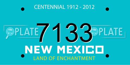 7133 New Mexico License Plate