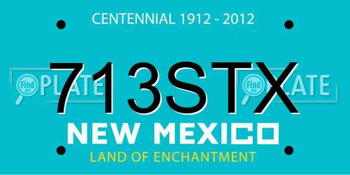 713STX New Mexico License Plate